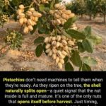 13 Warning Signs That You Immediately Need Magnesium and How to Get It