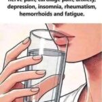 Stuffed Bell Pepper Soup Recipe