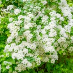 Experts reveal dirty truth about underwear habits