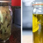 Your Garden Is a Crucial Winter Shelter: Why Leaving a Brush Pile Can Save Wildlife