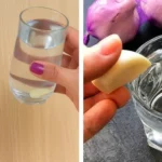 How to Make Clove Oil at Home and Why It Belongs in Every First Aid Kit