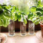 Why should you eat a banana before going to sleep?