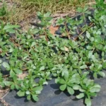 Be humble you won’t stay young forever