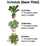 The Viral Square Challenge and What It Teaches About Perception