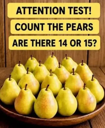 Attention Test! Count the Pears.