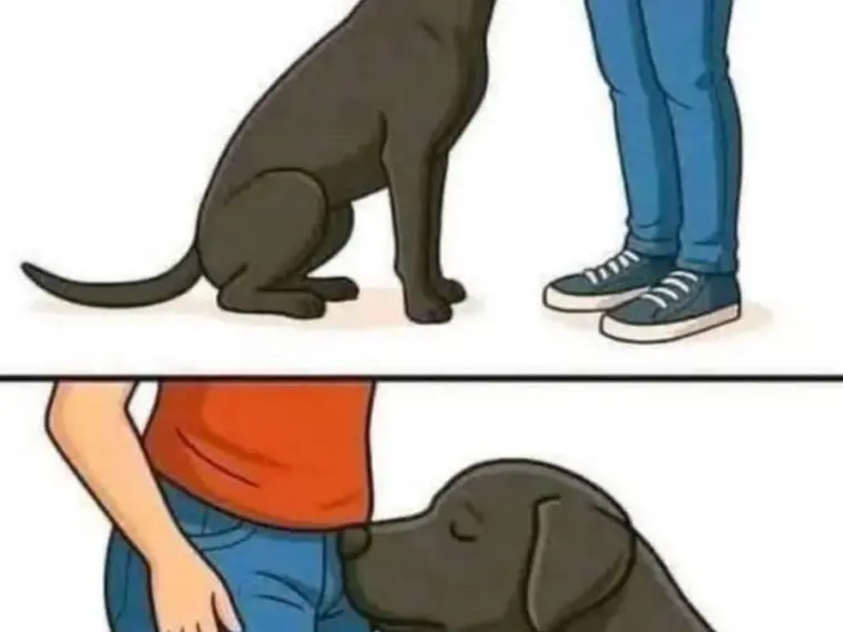 Did you know that if a dog smells your parts it’s po…