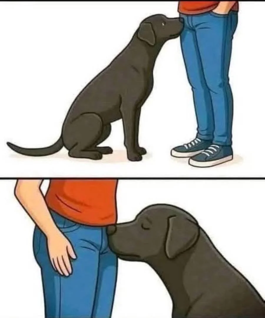 Did you know that if a dog smells your parts it’s po…