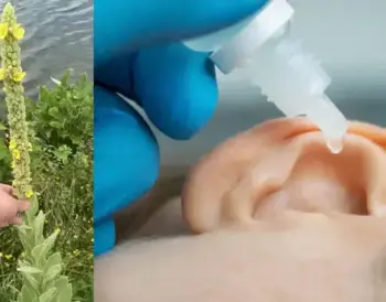 Mullein and Ear Problems: Nature’s Remedy for Gentle Relief