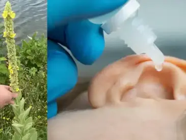 Mullein and Ear Problems: Nature’s Remedy for Gentle Relief