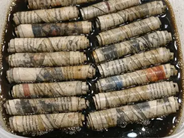 Soak tightly rolled newspaper tubes and 2 simple ingredients and the end result is absolutely mind-blowing!