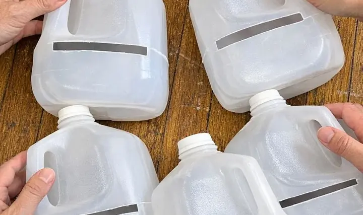 Stack empty plastic milk jugs and slice them this strange way, and the transformation has neighbors stopping to stare