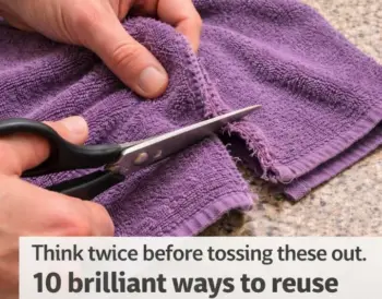 Think twice before tossing these out. 10 brilliant ways to reuse worn bath towels